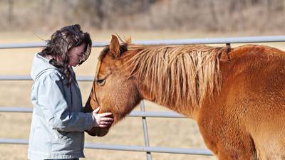 Shutter to Think: A tender moment for a rescued horse