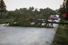 Lake in the Hills Ribfest called off for Thursday due to storm; many downed trees in Marengo area
