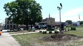 Maples removed at Ogle County Courthouse to be replaced with white oaks