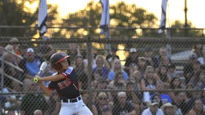 Bradley-Bourbonnais Little League to move to Bradley 315 Sports Park