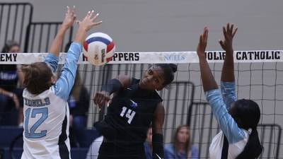 Herald-News area studded with All-State volleyball, football selections