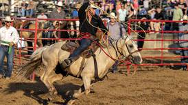 Rodeo fun at the Carroll County Fair