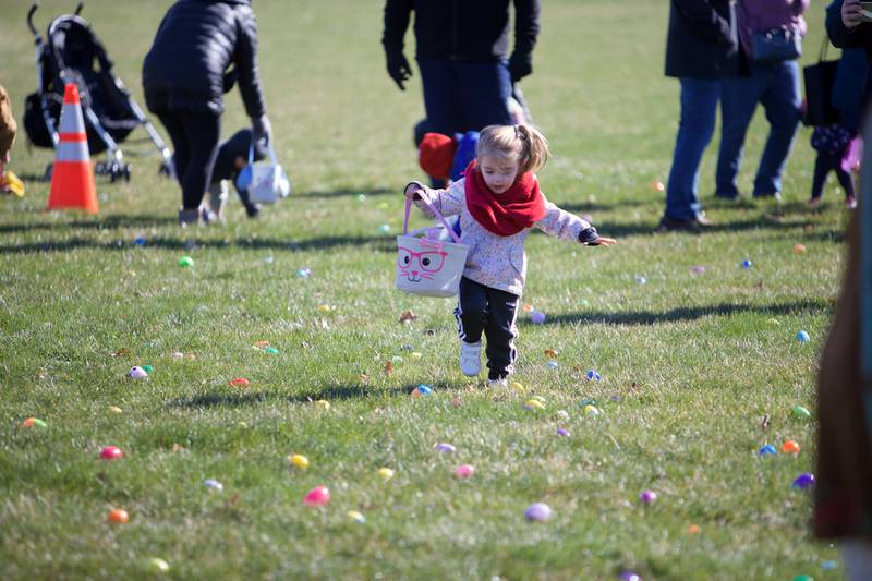 Kids enjoy the Easter Egg Hunt on Saturday, March 23,2024 at Lions Park in Elburn.