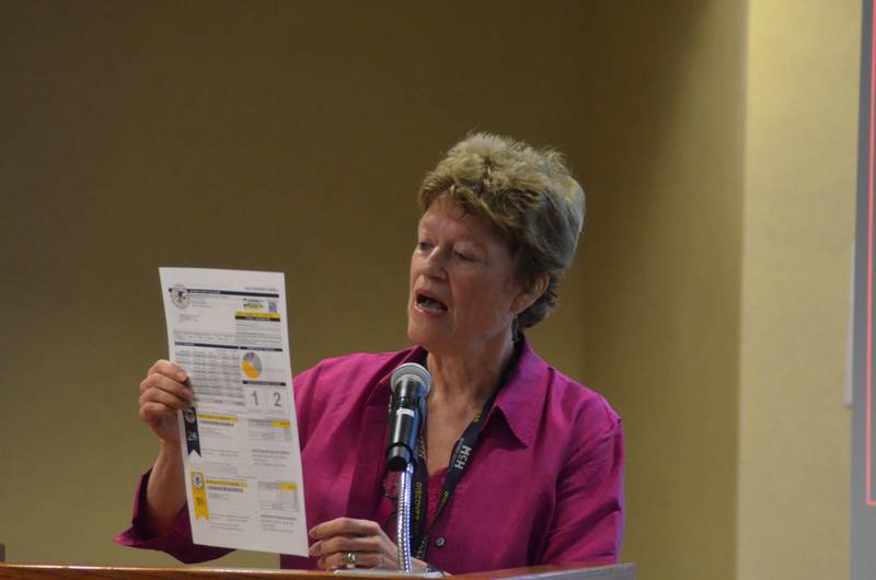 McHenry County Treasurer Donna Kurtz explains the county's new tax bill March 14, 2024.