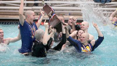 High school sports: 4 memorable winter sports moments for Lyons Township