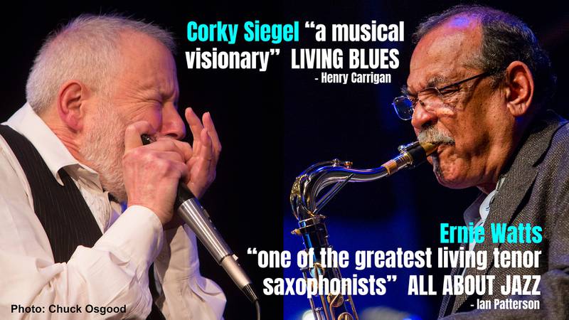 Raue Center for the Arts - Raue Center Presents Blues Weekend May 18 - 20th!