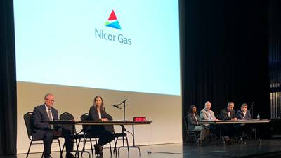 Illinois regulators deny roughly half of Nicor’s rate increase request