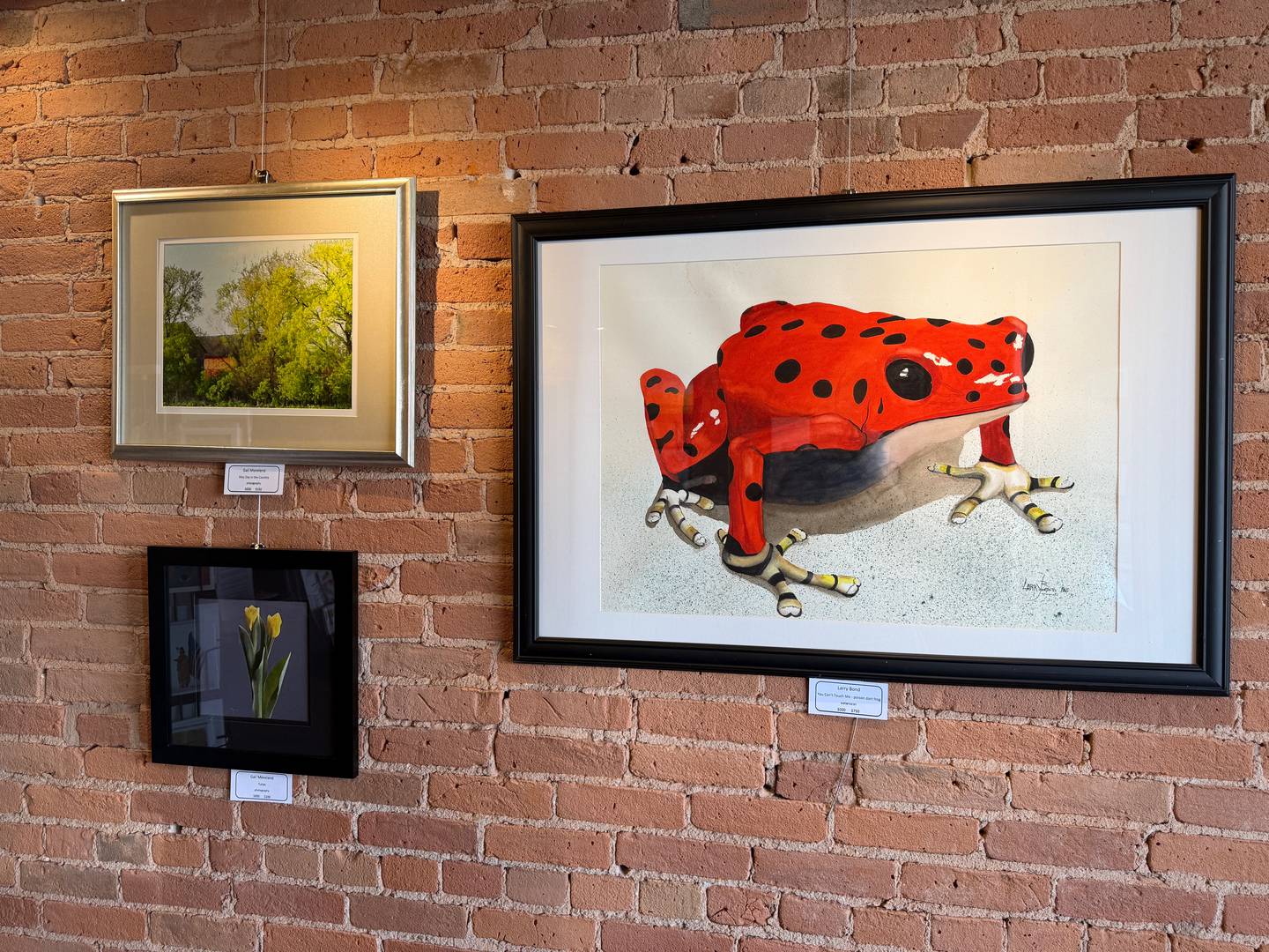 The Kishwaukee Valley Art League's latest art rotation