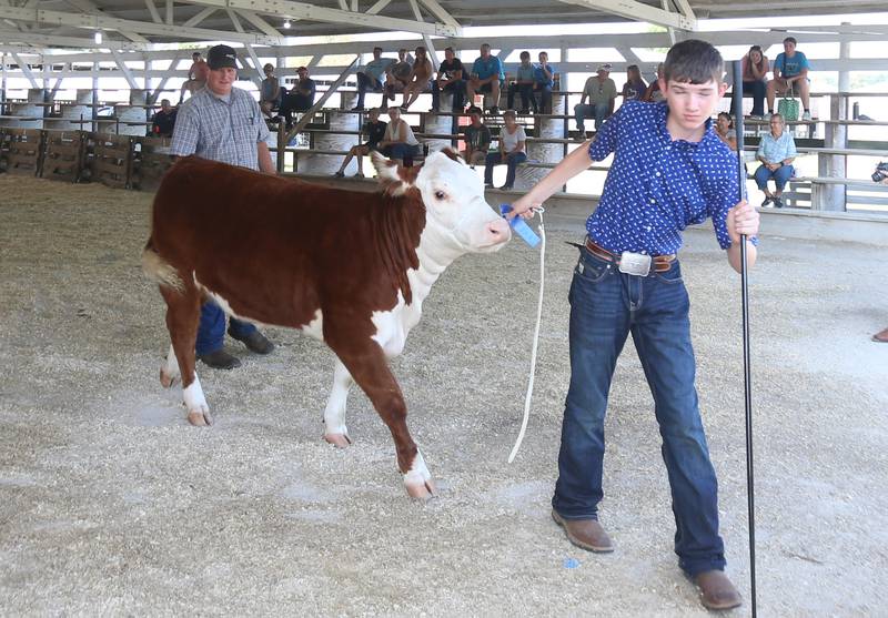Cooper Hattan of Varna, shows his senior heifer calf during the Marshall-Putnam County 4-H Fair on Wednesday, July 23, 2025 at the Marshall-Putnam Fairgounds in Henry.