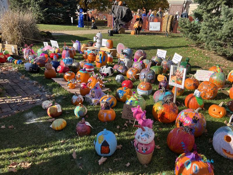 Entries in the 2022 Sycamore Pumpkin Festival's Pumpkin Contest on Oct. 28, 2022.