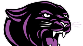 Logan Nawrocki leads Hampshire baseball over Harvest-Westminster in extras: Friday’s Northwest Herald roundup