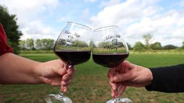 New directory helps summer travelers find Illinois breweries, brew pubs and wineries 