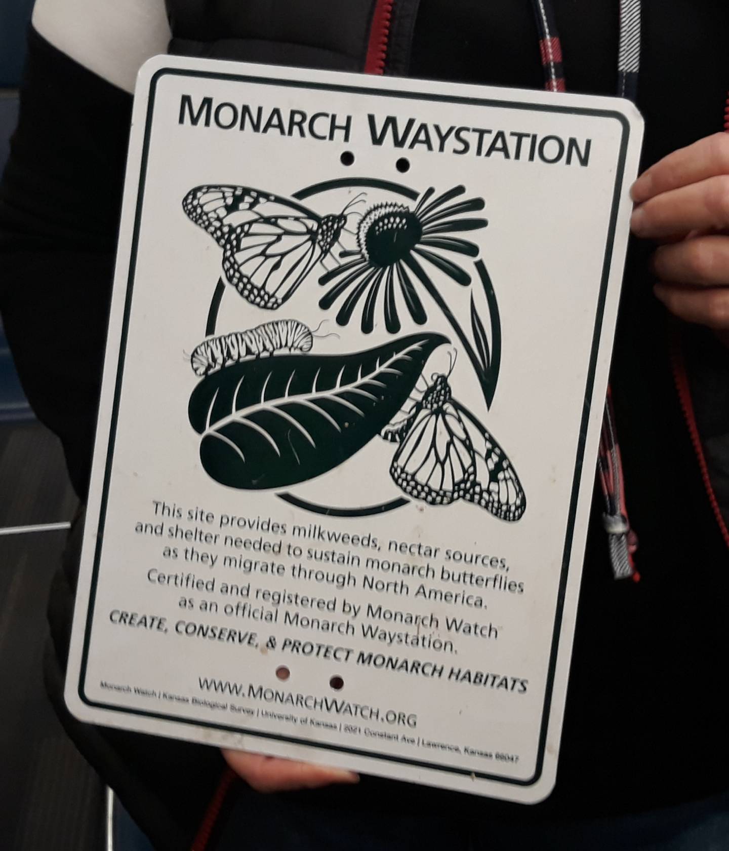 Streator resident Nina Vaughn displays a Monarch Waystation sign to the Park Board on Wednesday, Feb. 8, 2023. The sign designates a conservation area for monarchs during their migratory patterns.