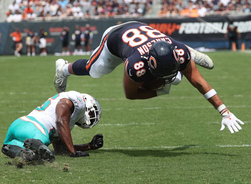 Chicago Bears tight end Stephen Carlson is tripped up by Miami Dolphins cornerback Storm Duck just shy of the goalline Sunday, Aug. 10, 2025, during their preseason game at Soldier Field in Chicago.