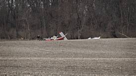 One person dead in Whiteside County plane crash, police said