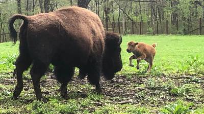 Leaders mark huge expansion of national wildlife refuge straddling Illinois, Wisconsin