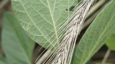Public meeting on carbon capture set for Sept. 2 in Putnam