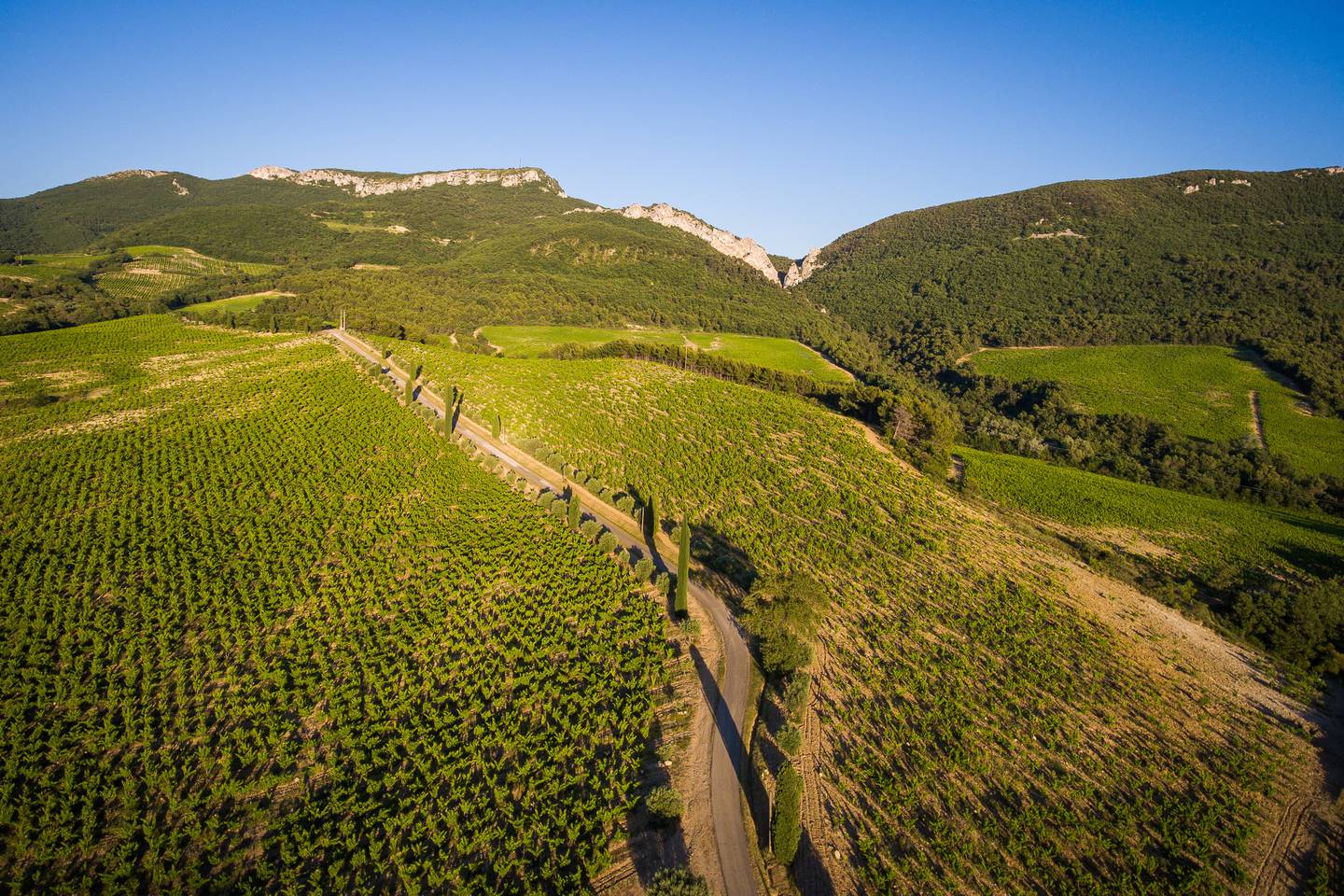 Shown is Vignoble Pierre Amadieu. Jean-Marie Amadieu was a driving force behind Gigondas with wine being granted appellation d’origine contrôlée status.