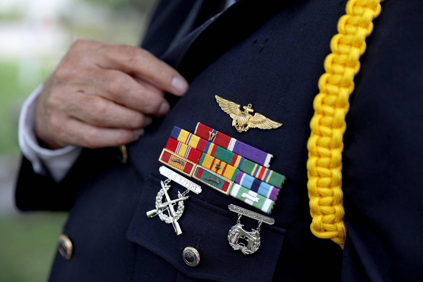 St. Charles resident and United States Marine Corps veteran Dennis Larson served in the Vietnam War.