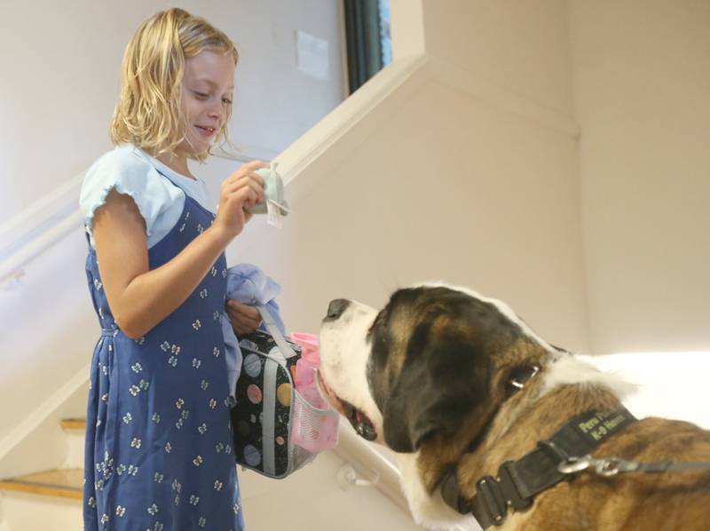 Willow Coleman, student at SOAR (Students Obtaining Achievement and Responsibility) interacts with Haven, the Peru Police Department therapy K-9 dog while entering the school building on Thursday, Aug. 21, 2025 in Peru.