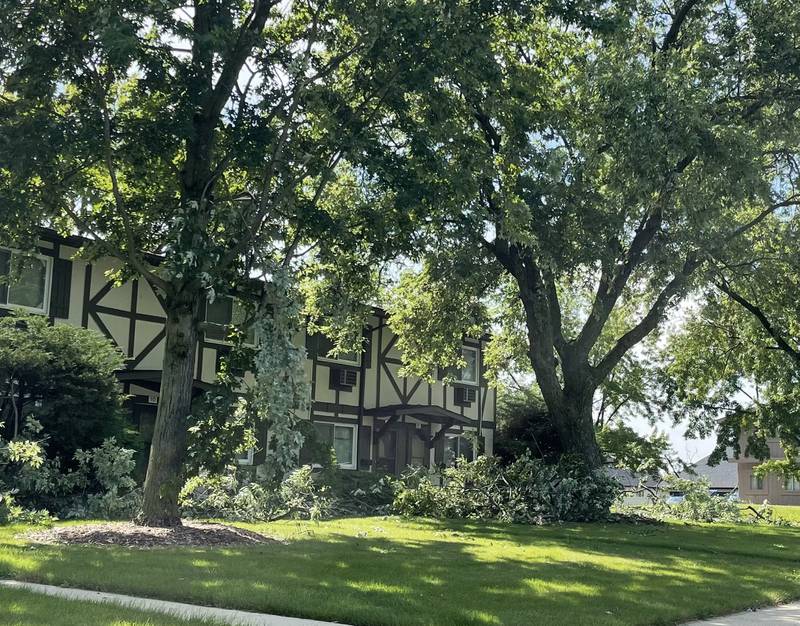Large tree branches lie on the ground at the Lockport South apartments in Lockport on Tuesday,. July 16, 2024.  Several large branches and smaller ones were found scattered in streets and yards around Lockport following intense storms on Monday night across Will County.