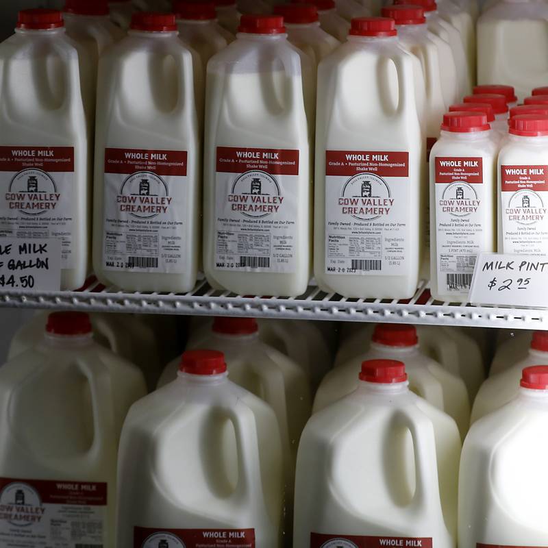 Cow Valley Creamery whole milk on Friday, March 10, 2023.