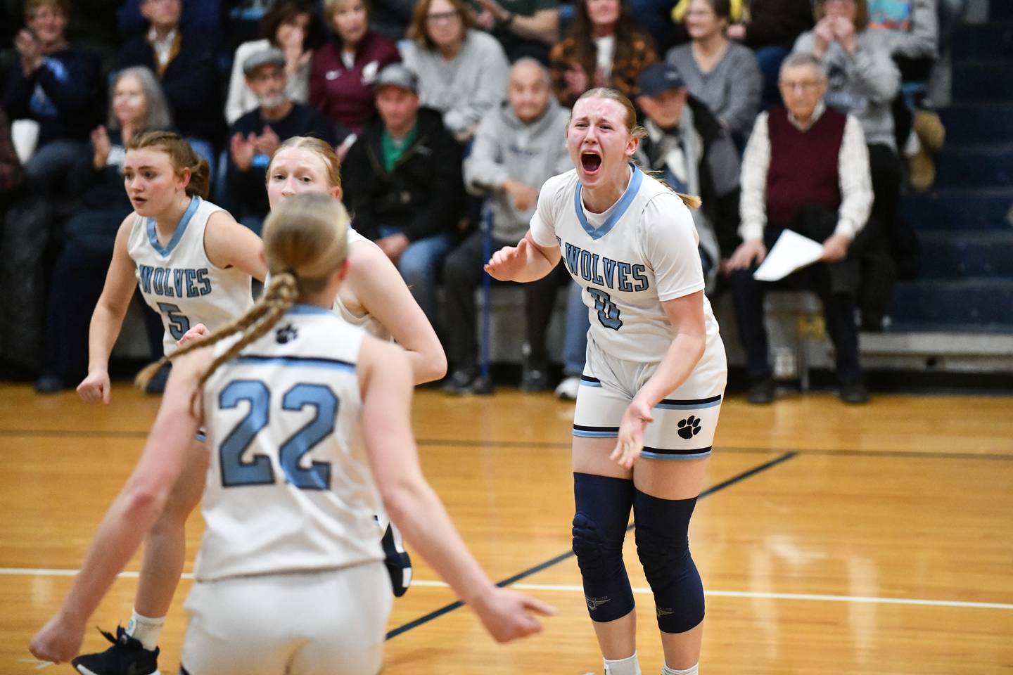 Cissna Park's Addison Lucht celebrates with teammate Josie Neukomm (22) as the Timberwolves force a Watseka-Milford timeout in the first quarter on Monday, Feb. 10, 2025, during the Timberwolves' 61-40 victory.