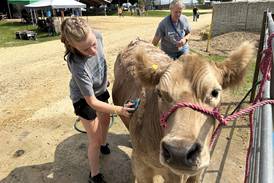 Shaw Local Radio Podcast: Talk-Line with Steve Marco interviews Brenda Holm, Ogle County Fair