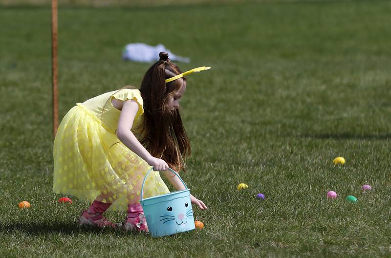 Addi, 6, picks up eggs on Saturday, April 19, 2025, during the Johnsburg Easter Egg Hunt at Sunnyside Memorial Park, in Johnsburg. Children hunted for 6,000 candy-filled eggs in three hunts divided by age group.