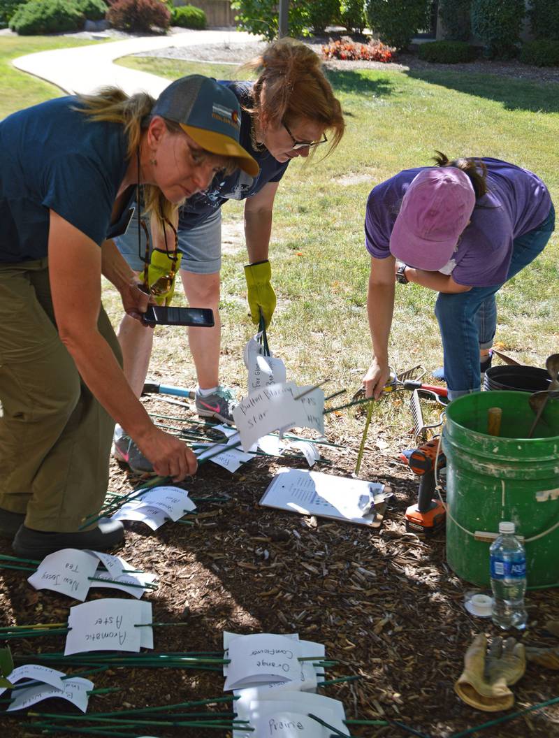Ellen Evancheck, Kim Radek-Hall and Jayna Leipart Guttilla are surrounded by a landscape plan and plant labels as they prepare the One Book, One College Pollinator Garden at IVCC's front entrance. The activity kicks off the community book discussion program's fourth year. The book selected this year is a sci-fi novel, "Parable of the Sower" by Octavia Butler.