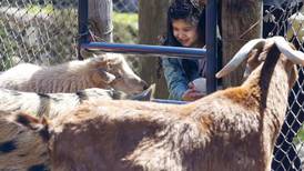 Families celebrate Earth Day with animals and activities at Randall Oaks Zoo