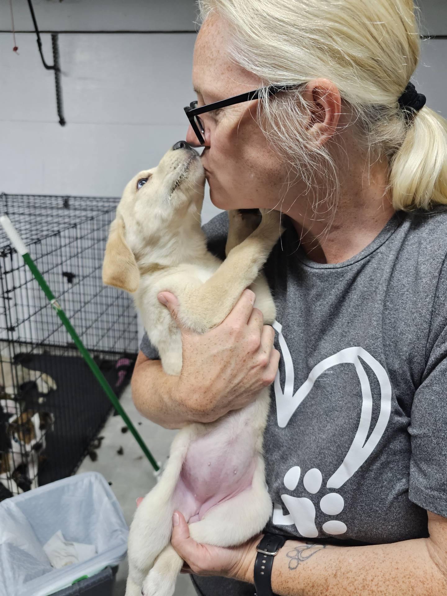 Stacy Pyrek, founder of Operation Hope Animal Rescue in Pingree Grove, gets kisses from one of her rescues.