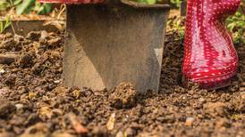 Preparing garden beds for spring and beyond