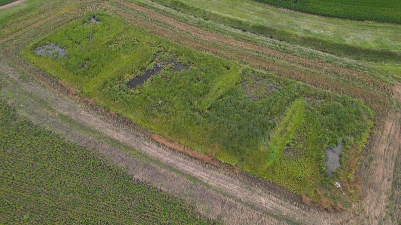 This wetland was constructed in September 2021 and is now fully operational. M.K. Farm Drainage Specialists built the 1.83-acre wetland at McCuskey Farms under the direction of the M-P SWCD and TWI through their Smart Wetlands program.