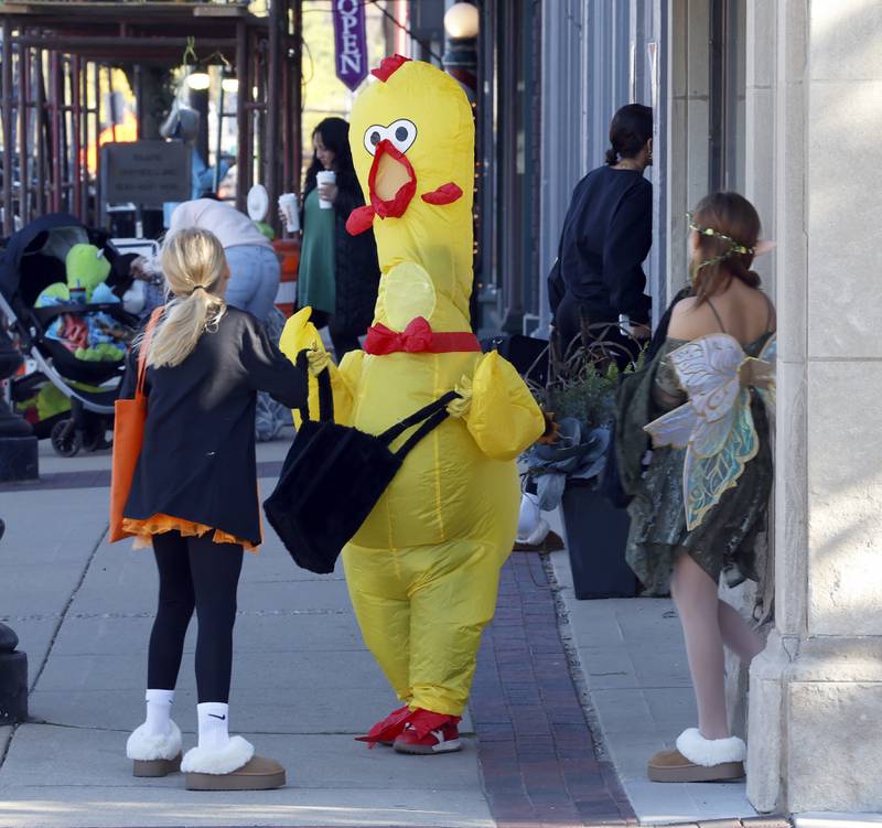 A person in an inflatable chicken costume trick-or-treats Thursday, Oct. 30, 2025 in Geneva.