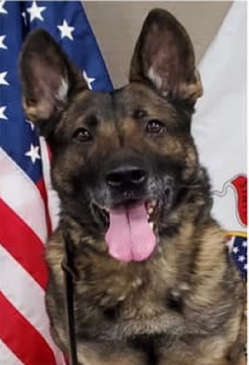 Livingston County Sheriff’s Office K-9 Zico retired Dec. 12 at the age of 10, after 8 1/2 years of service with the sheriff’s office.