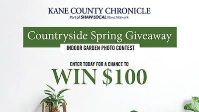 Countryside Spring Giveaway - Indoor Garden Photo Contest
