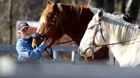 McHenry County veterans organizations receive $100K state grants from lottery money