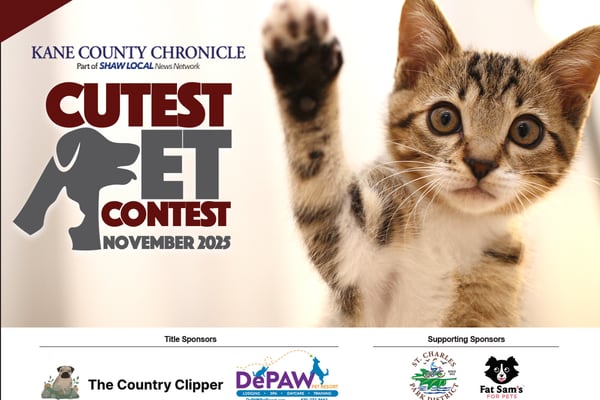 Kane County November Cutest Pet Contest