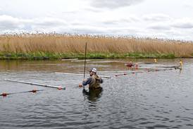 Invasive carp trap installed  at Rock Run Rookery Preserve in Joliet 
