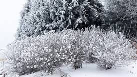 Many McHenry County school districts cancel in-person Tuesday classes as winter storm loomed
