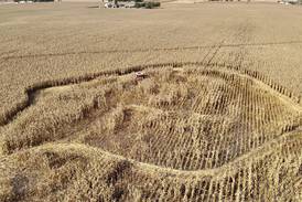 Firefighters battle blaze in a corn field near IL Route 47 in Yorkville