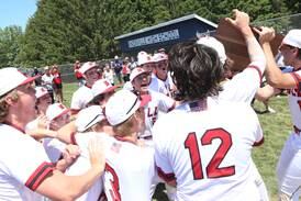 Baseball: Hall looks to punch its ticket back to State