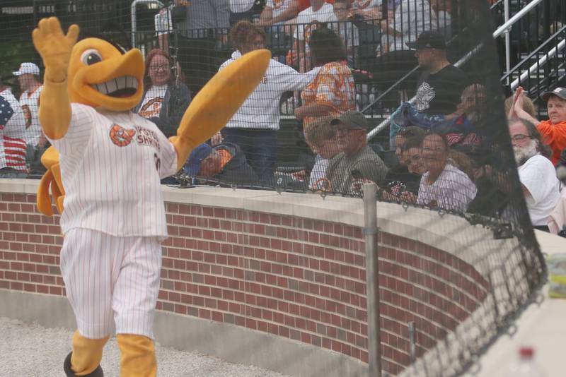 Illinois Valley Pistol Shrimp mascot South Claw Sam, waves to fans during the Illinois Valley Pistol Shrimp home opener on Friday, May 30, 2025 at Schweickert Stadium in Peru.