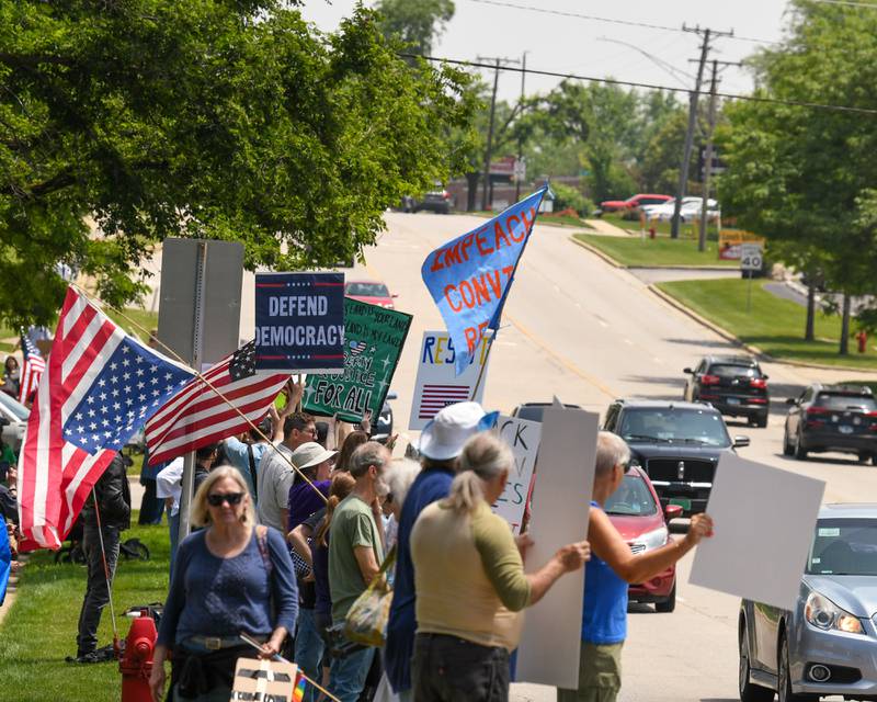 Community members hold signs and flags during the No Kings rally in Lisle on Saturday June 14, 2025, held on Ogden Ave. near the Tesla dealership.