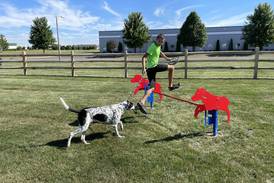 Oswego trustees discuss possible new locations for Happy Tails Dog Park