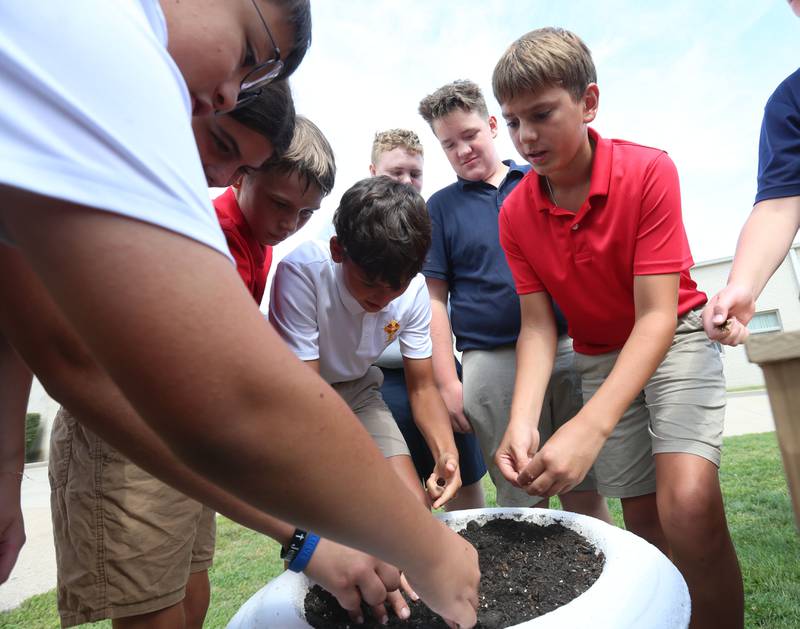 Students from Saint Carlo Acutis plant seeds into a pot on Friday Aug. 29, 2025 in Peru. Volunteers with the Peru Historical Society taught students how to plant wildflower seeds and native prairie flowers. Debo Ace Hardware also donated supplies.