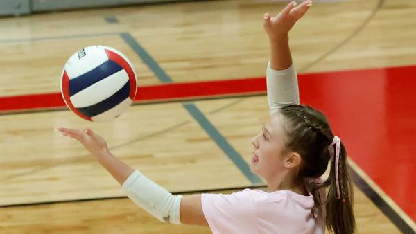 Photos: Erie-Prophetstown vs Hall volleyball