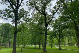 Movies in the Park Friday night postponed due to rain