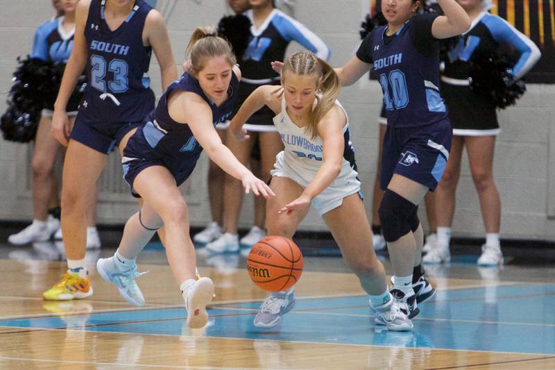 Downers Grove South's Allison Jarvis  battles for the loose ball with Willowbrook's Nina Nytko on Friday, Feb.3,2023 in Villa Park.